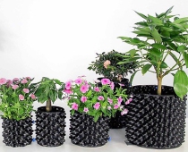 Bỏ túi ngay cơ sở chuyên bầu ươm chậu nhựa cây trồng Tiền Giang giá tốt