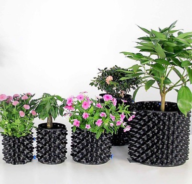 Bỏ túi ngay cơ sở chuyên bầu ươm chậu nhựa cây trồng Tiền Giang giá tốt