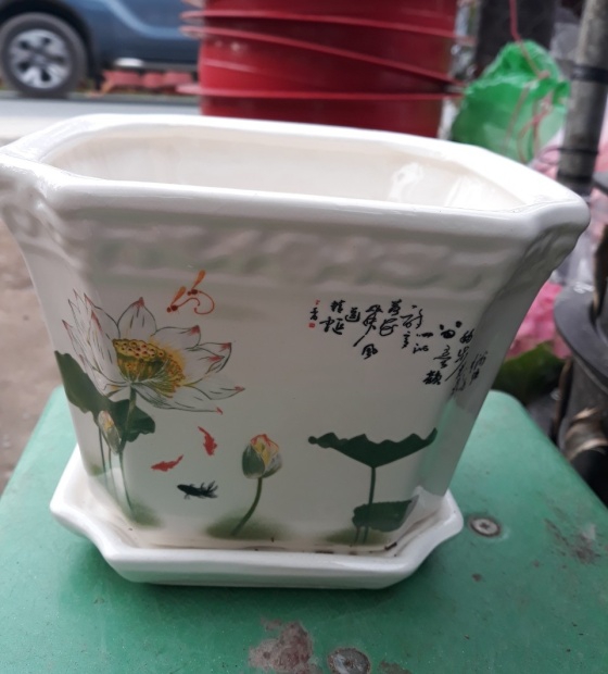 Chậu Men Gốm Hà Nội 